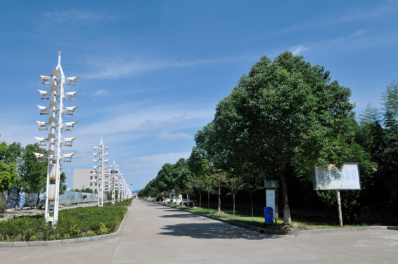 新厂区风景一角24