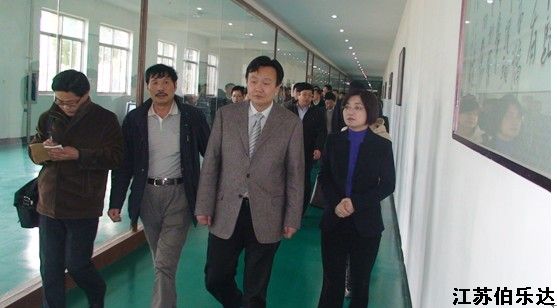 区委书记、区人大常委会主任王荣一行来集团视察指导工作