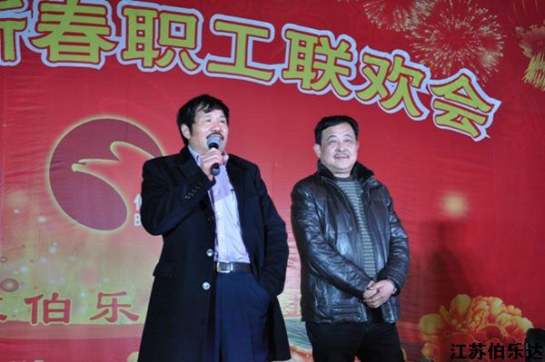 龙腾虎啸闹岁末 金蛇狂舞庆新春