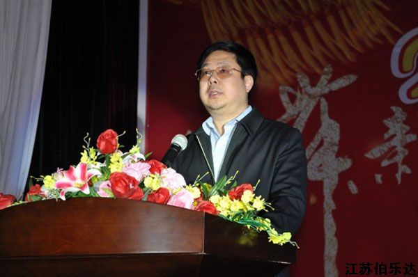 龙腾虎啸闹岁末 金蛇狂舞庆新春