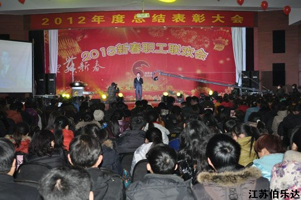 龙腾虎啸闹岁末 金蛇狂舞庆新春