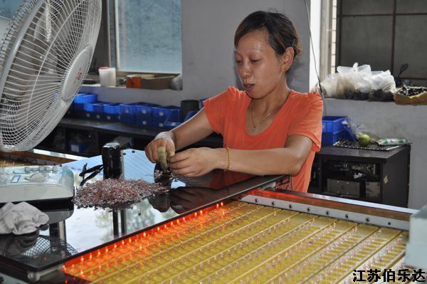 第三十八期 照明公司枯化机操作工凌兆霞，独立操作1台全自动枯化机