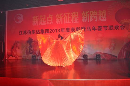 集团举行2013年度总结表彰大会